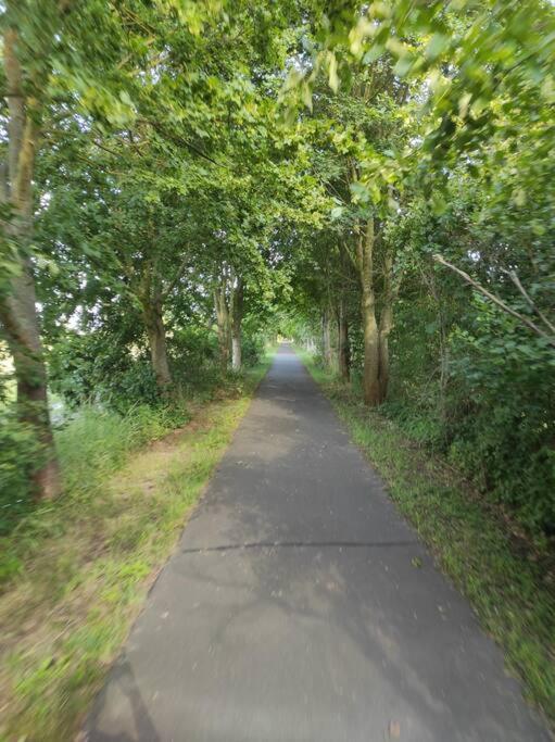 Storchennest - Ferienwohnung Am Storchenradweg Ketzür Екстериор снимка