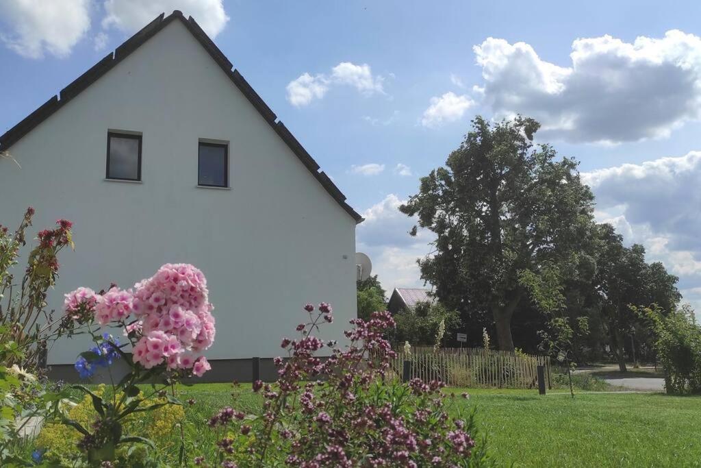 Storchennest - Ferienwohnung Am Storchenradweg Ketzür Екстериор снимка