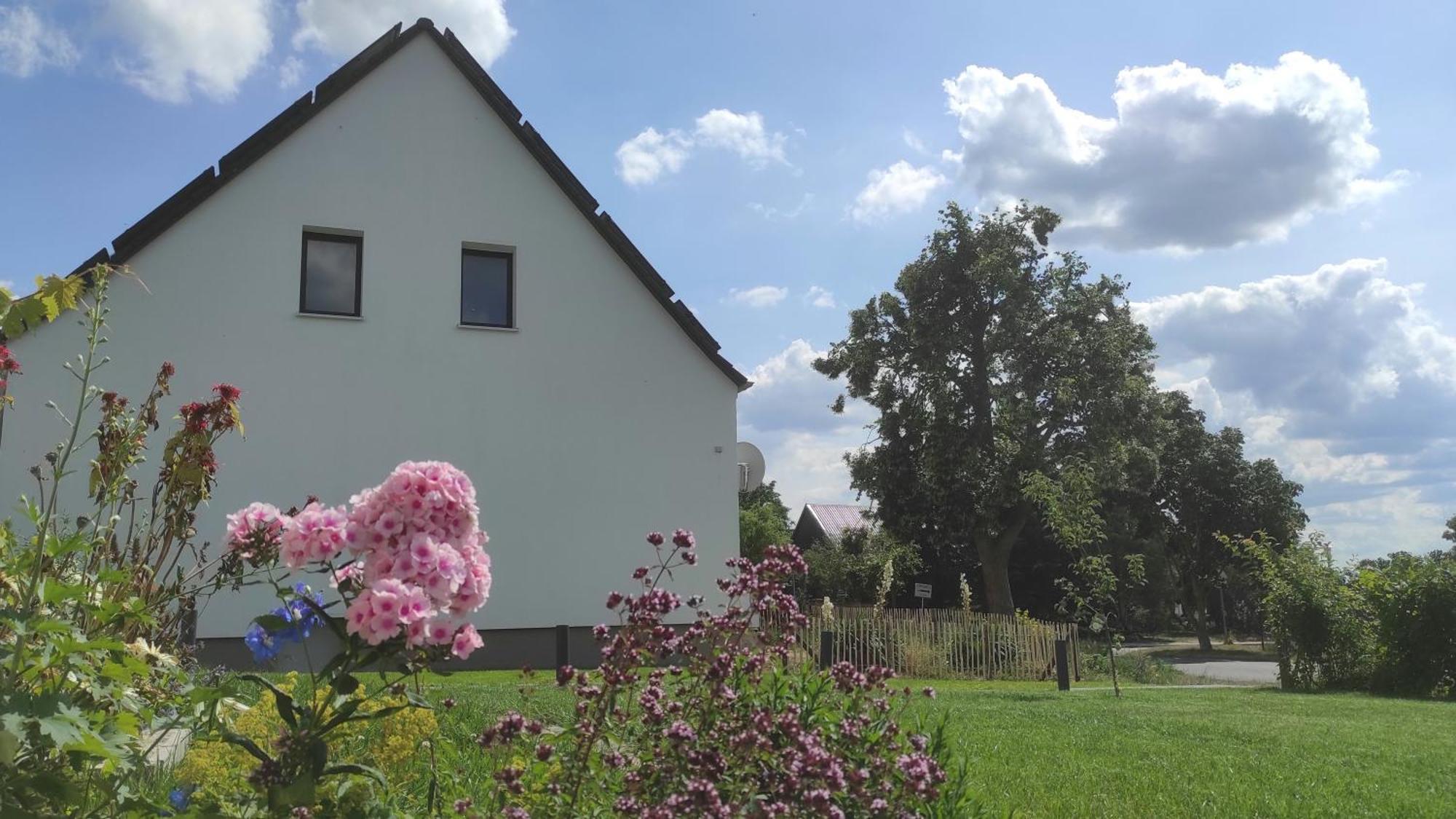 Storchennest - Ferienwohnung Am Storchenradweg Ketzür Екстериор снимка